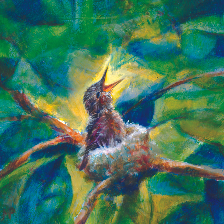 Greeting Card - Hummingbird